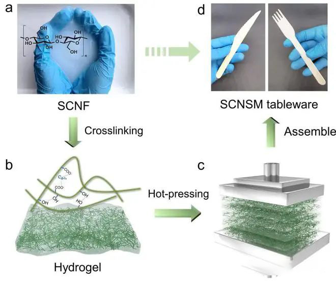 可生物降解餐具的新选择！
